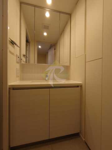 洗面設備　ザ・パークハビオ新宿※別部屋の参考写真です