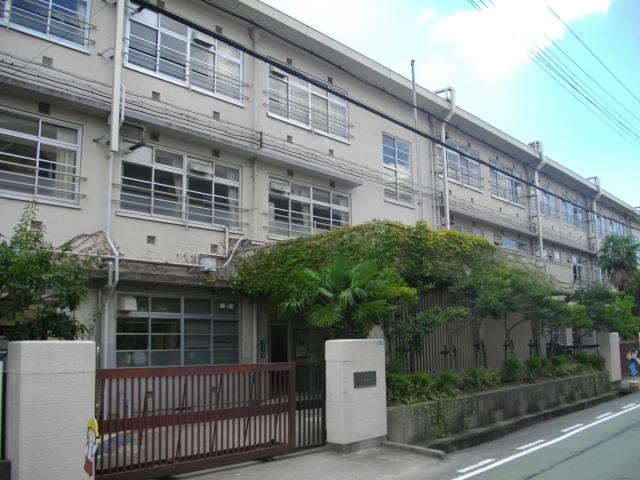 小学校　西宮市立　安井小学校（小学校）まで1234m