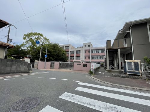 小学校　八尾市立志紀小学校（小学校）まで2220m