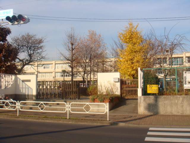 小学校　立川市立柏小学校（小学校）まで738m