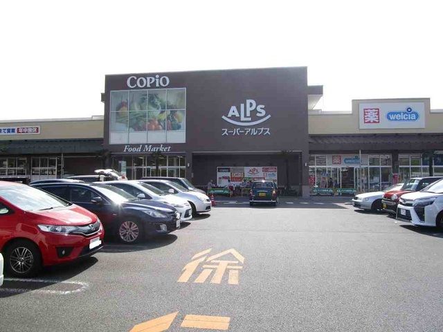 スーパー　アルプス（スーパー）まで450m