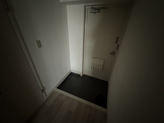 玄関　※別号室の写真です