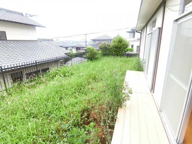 庭