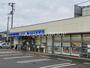 コンビニ　ローソン小金井貫井北町五丁目店（コンビニ）まで242m