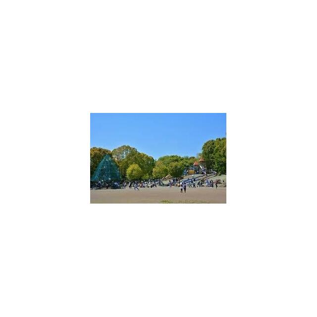 公園　平塚中央公園（公園）まで706m