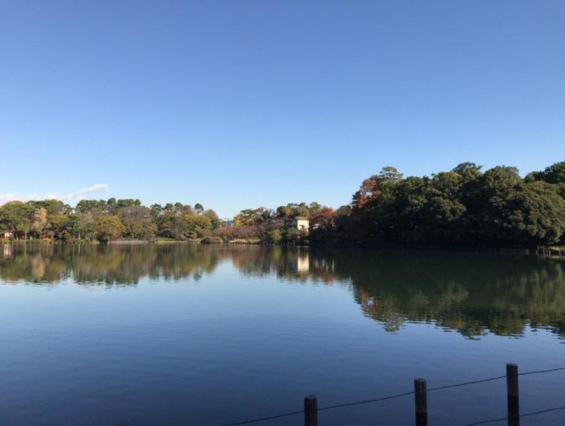 公園　洗足池公園（公園）まで525m
