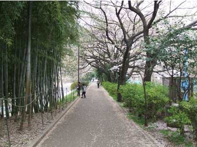 公園　江古田の森公園（公園）まで759m