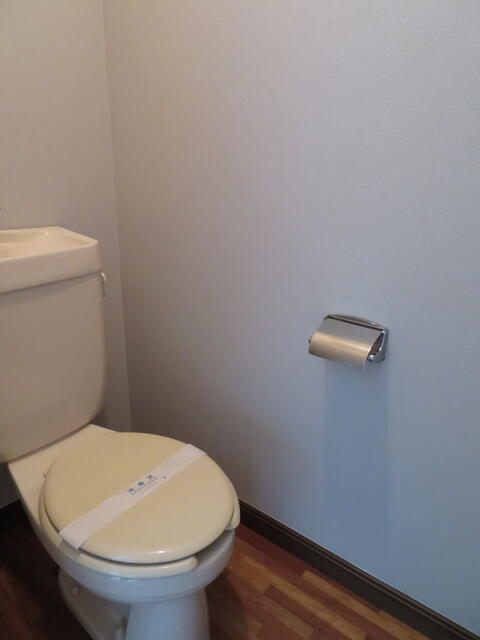 トイレ　トイレも気になるポイント