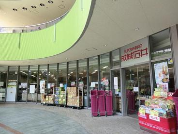 スーパー　成城石井東京ドームラクーア店（スーパー）まで468m