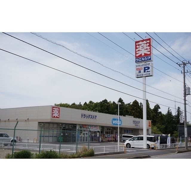 ドラックストア　ウエルシア長沼店（ドラッグストア）まで1500m