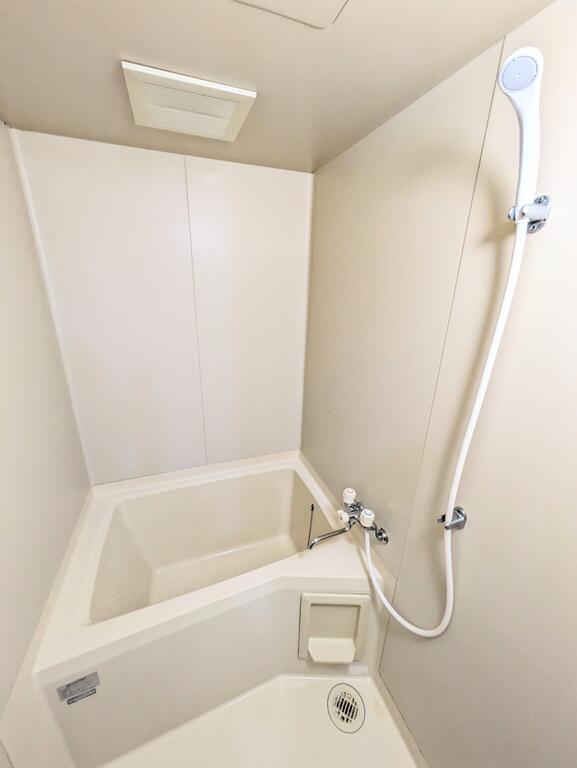セントラルビィレッジの風呂写真