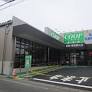 スーパー　コープあおもり西弘店（スーパー）まで808m