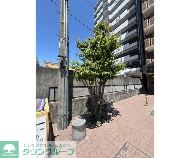 庭