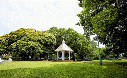 公園　山手公園（公園）まで292m