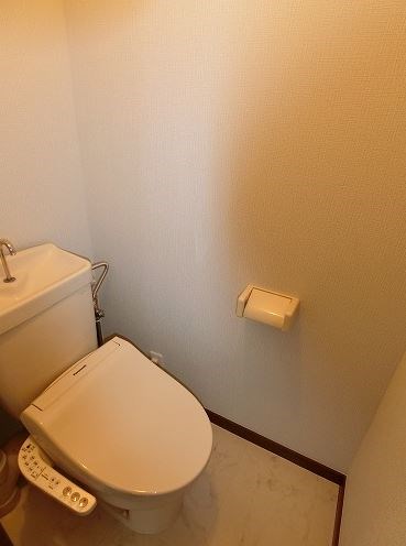 トイレ　写真は別号室です。