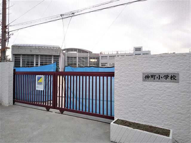 小学校　川口市立仲町小学校（小学校）まで240m