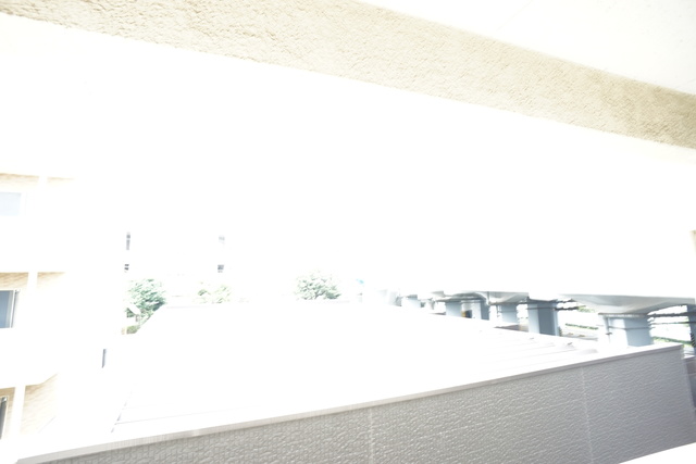 眺望　同物件別部屋写真実際は現況を優先致します。