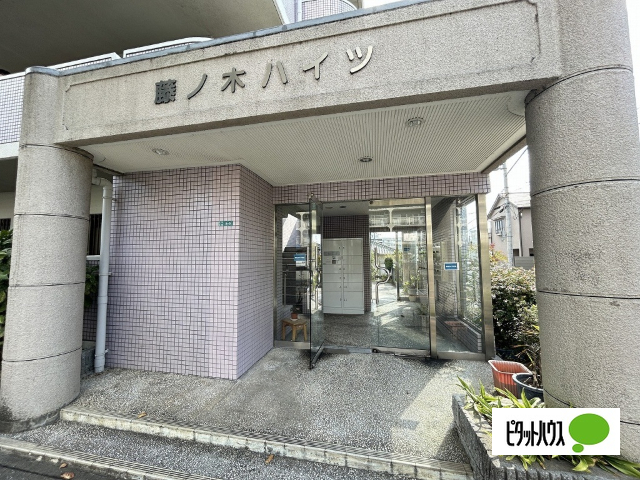藤ノ木ハイツの外観写真