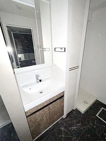洗面設備　参考写真：別部屋タイプ