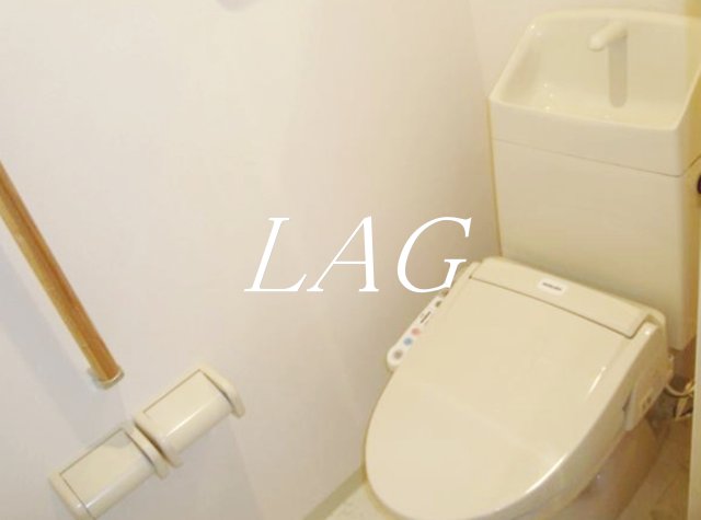 ウェルシーレジデンス鵜の木のトイレ写真