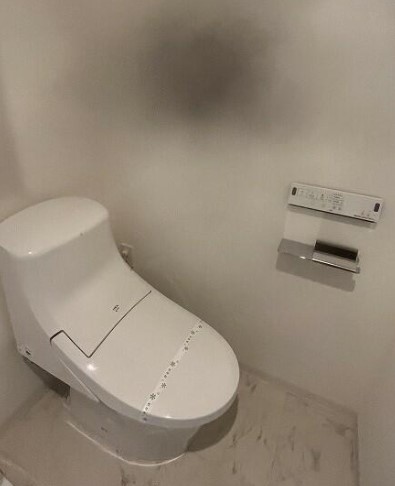 東京メトロ南北線 麻布十番駅 徒歩8分 9階建 築10年のトイレ写真