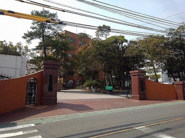 【フェリス　エスの大学・短大】