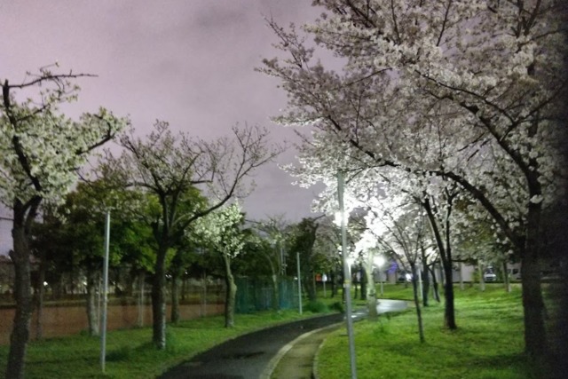 【大阪市浪速区久保吉のマンションの公園】