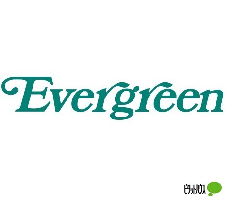 ドラックストア　エバグリーン吉備店（ドラッグストア）まで832m