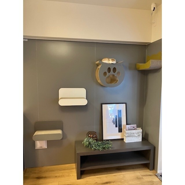 居室・リビング　キャットステップ