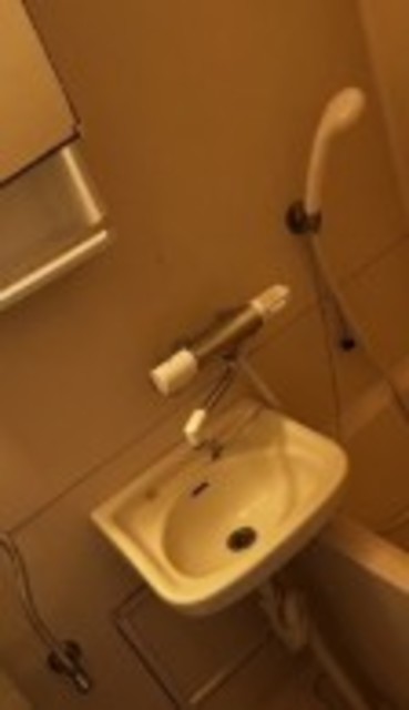 洗面設備　他部屋参考。