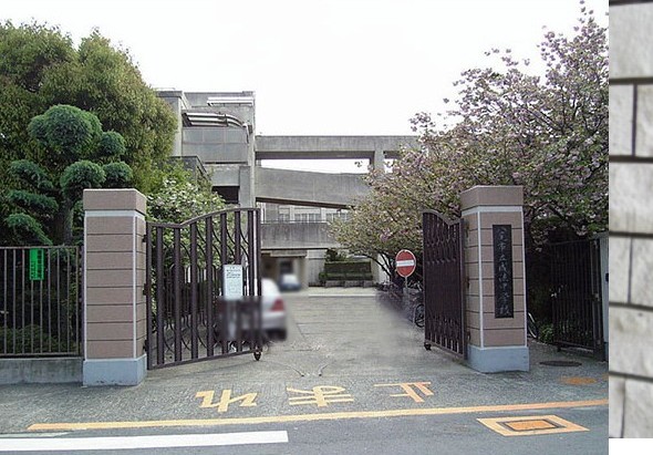 中学校　八尾市立成法中学校（中学校）まで220m