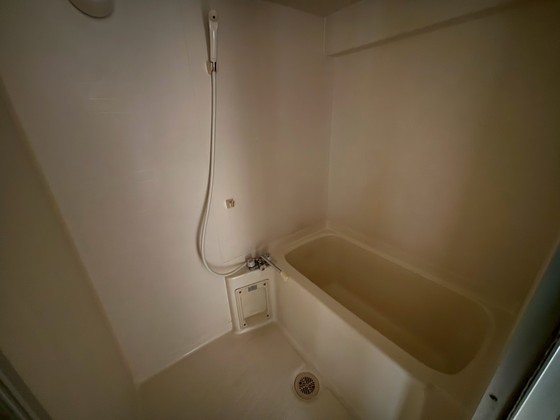 バス・シャワールーム　※別部屋の写真です