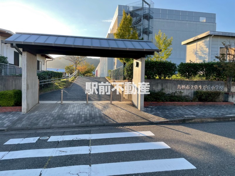 小学校　弥生が丘小学校（小学校）まで700m