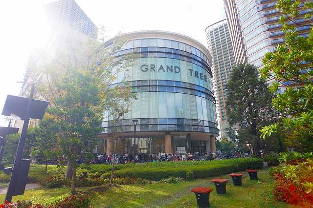 ショッピングセンター　グランツリー武蔵小杉（ショッピングセンター）まで231m