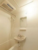 バス・シャワールーム　別部屋参考写真です