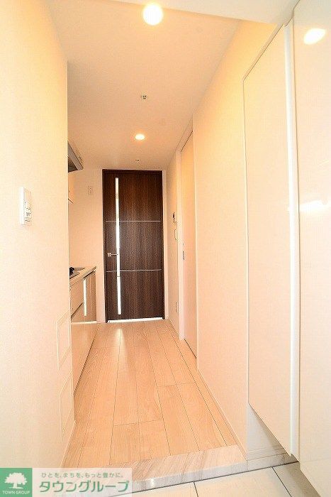 玄関　カラータイプ異なります