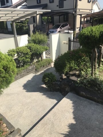 庭
