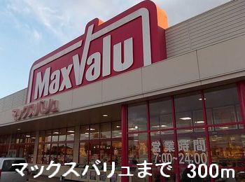 スーパー　マックスバリュ（スーパー）まで300m