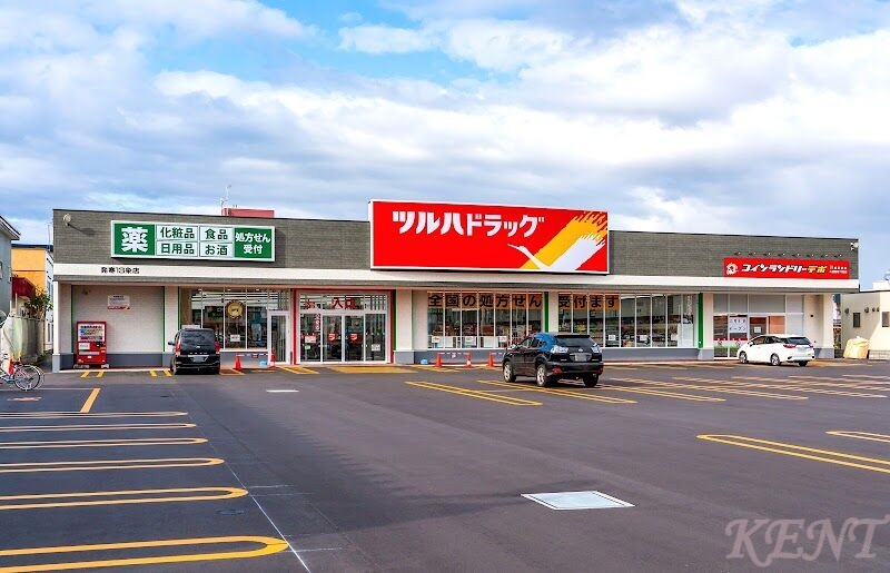 ドラックストア　ツルハドラッグ発寒13条店（ドラッグストア）まで1295m