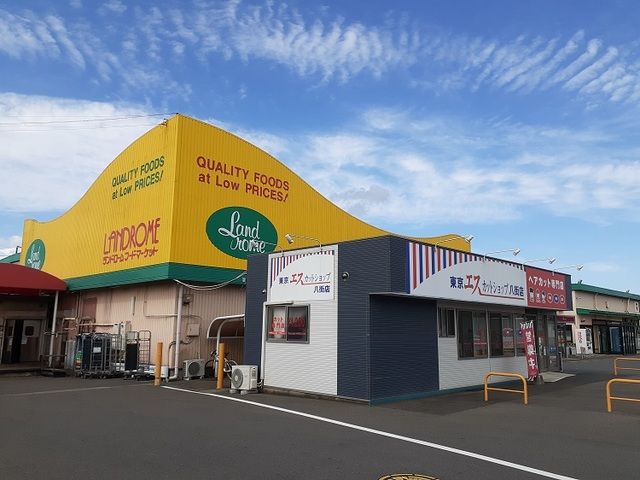 スーパー　ランドロームフードマーケット（スーパー）まで500m