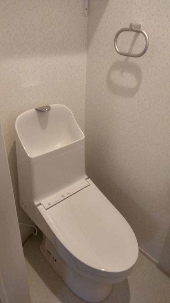 ルアーナのトイレ写真