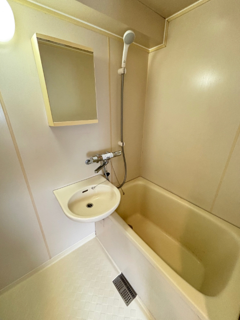 バス・シャワールーム　写真は２０２号室