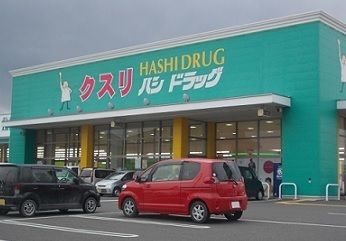 ドラックストア　ハシドラッグ南福島店（ドラッグストア）まで900m