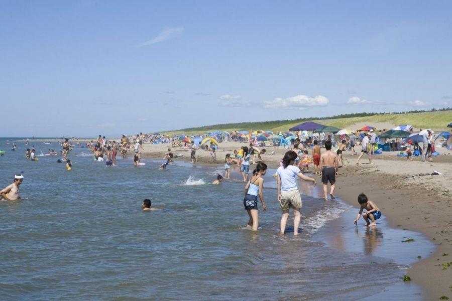 その他　青山海浜公園（その他）まで1058m