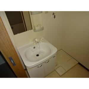 洗面設備　同一タイプ(別室イメージ画像)