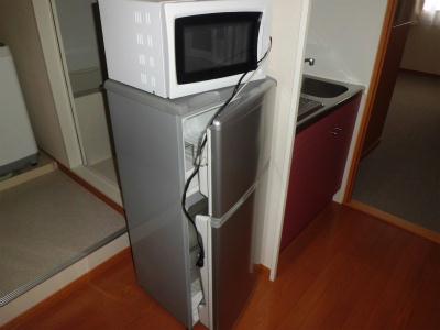 その他　流し台脇に鎮座する冷蔵庫と電子レンジ。