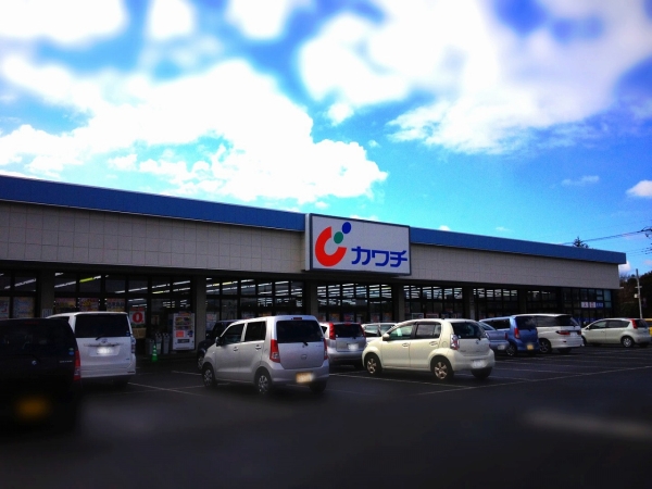 その他　カワチ薬品佐和店（その他）まで1099m