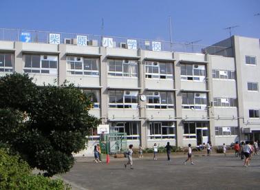 小学校　葛飾区立柴原小学校（小学校）まで1065m