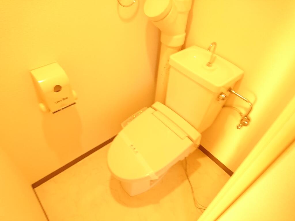 トイレ　トイレ