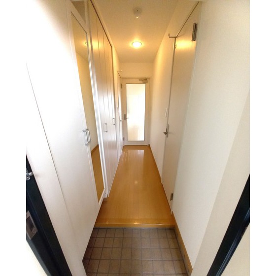 玄関　※別部屋写真、現況優先